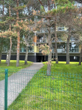 Jaukūs apartamentai prie Jūros / Cosy apartments near Sea, Palanga